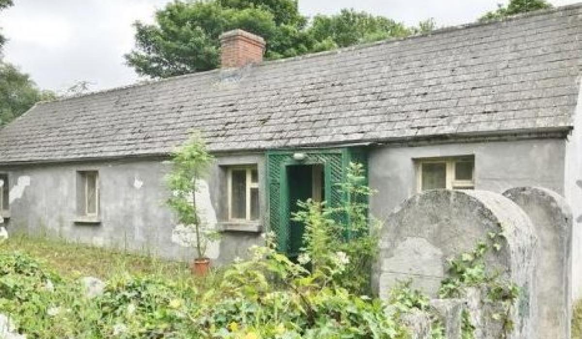 Lakeside cottage for sale in Blessington Photo 1 of 2 Kildare Now