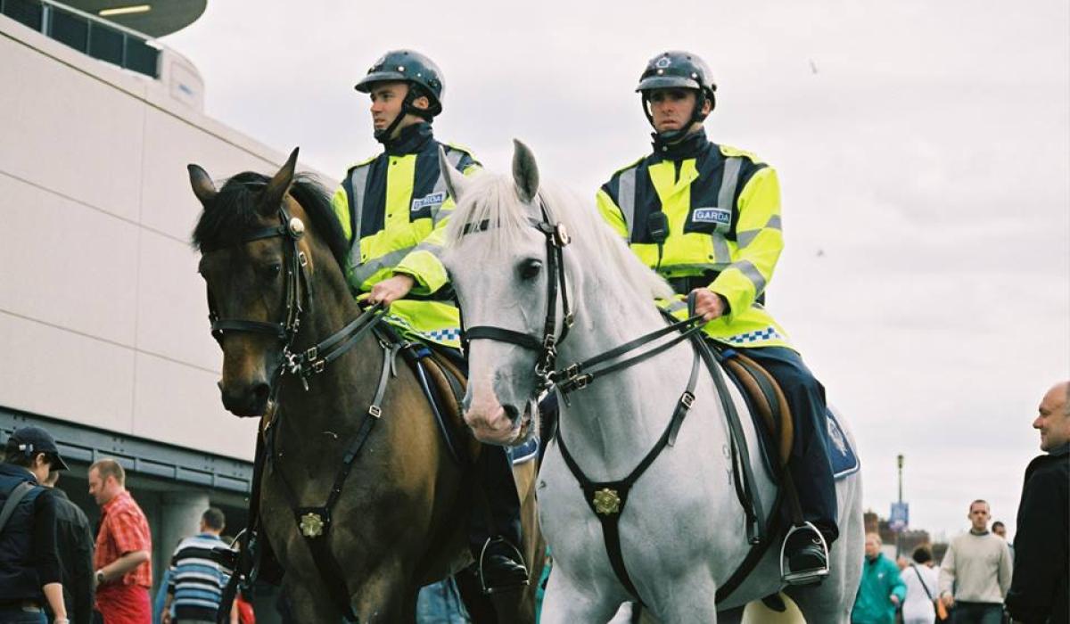 Attention horse lovers Gardai hiring Groom for horses Kildare Now