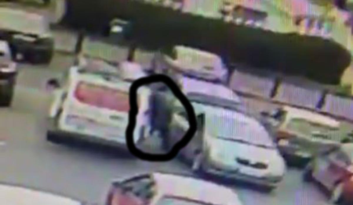 CCTV footage shows brazen thief in Kildare car park plunder contents of