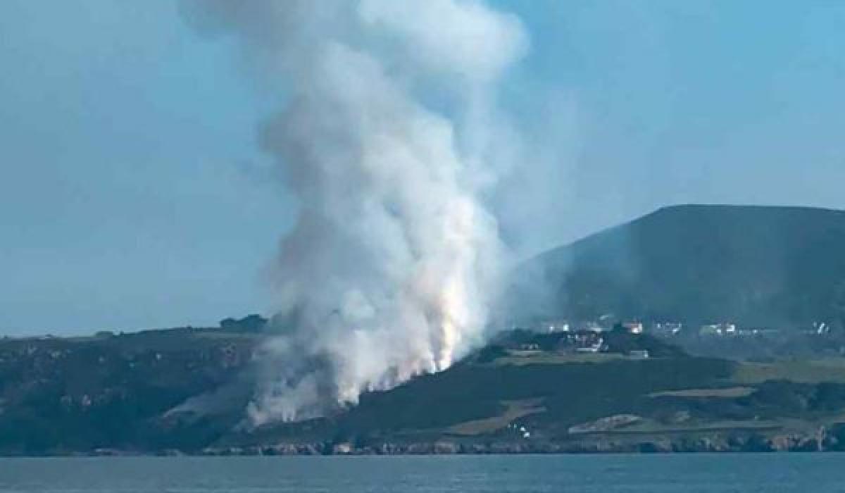 Dublin Fire Brigade issue warning to the public following large gorse ...