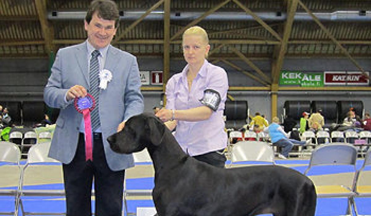 Newbridge native is one of top dog show judges in the world Photo 1