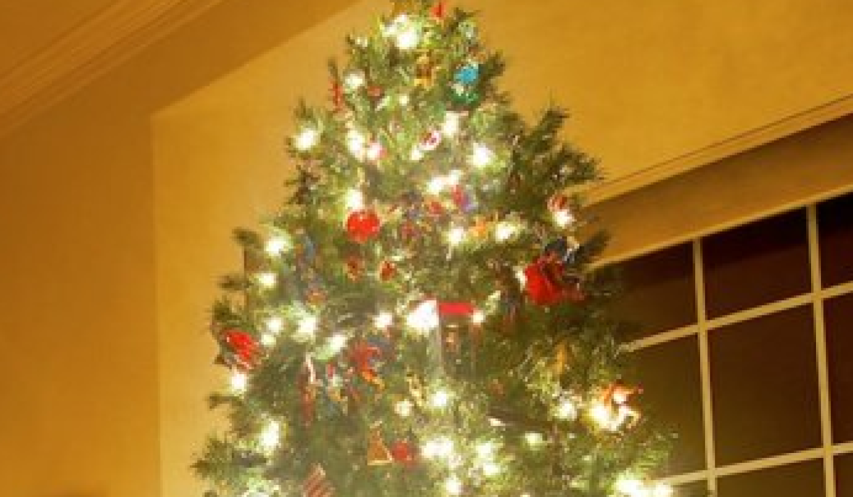 Co Kildare residents can recycle Christmas trees throughout the county