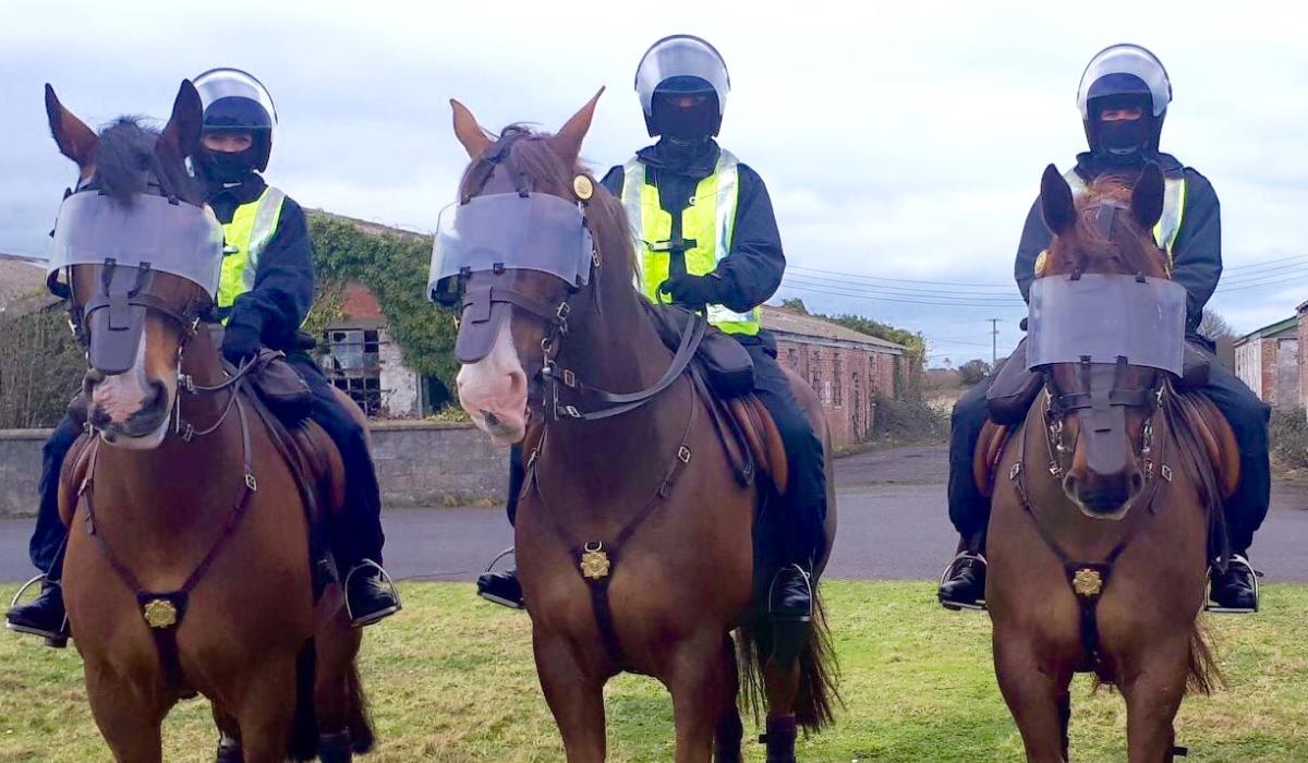 Garda Mounted Unit ready for public order situations Photo 1 of 3