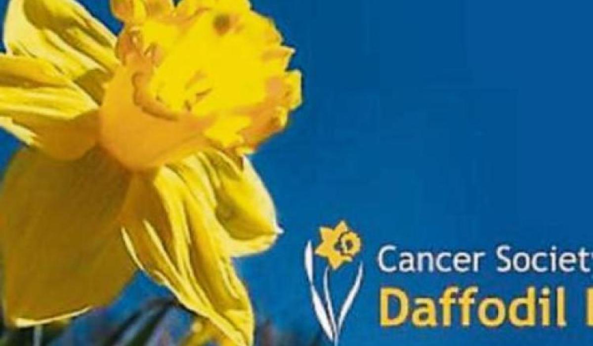 Daffodil Day returns to the streets of Kildare for the first time in