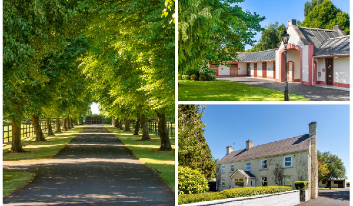 LATEST Two Kildare stud farms go under hammer with combined guide price of nearly €3.5m
