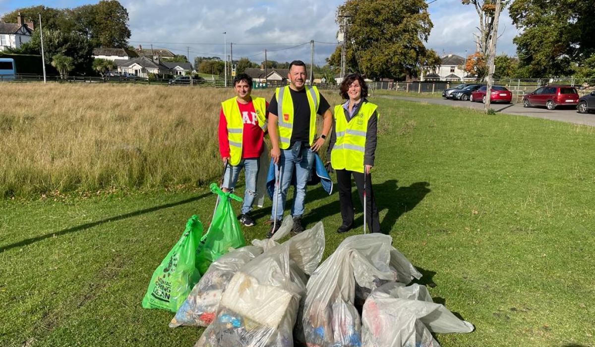 Multinational company carries out cleanup in Kildare Kildare Now
