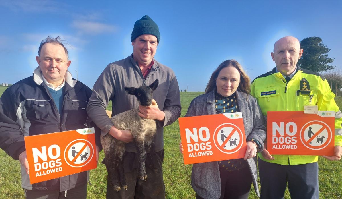 KILDARE Kildare farmer had to climb tree to escape attacking