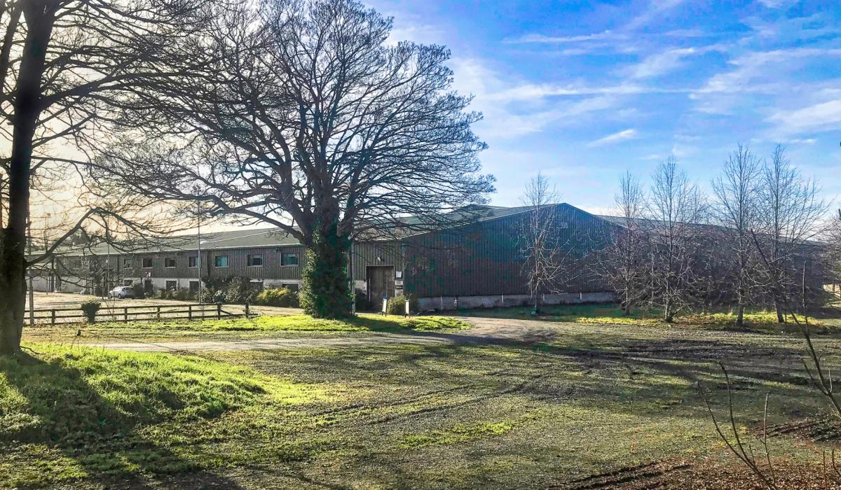 KILDARE First group of Ukrainian refugees to arrive in Kill within a