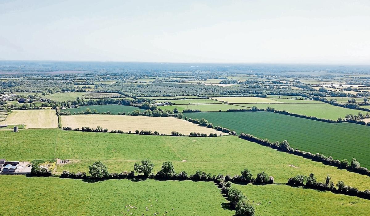 KILDARE PROPERTY WATCH 48 acres of top quality limestone land for sale