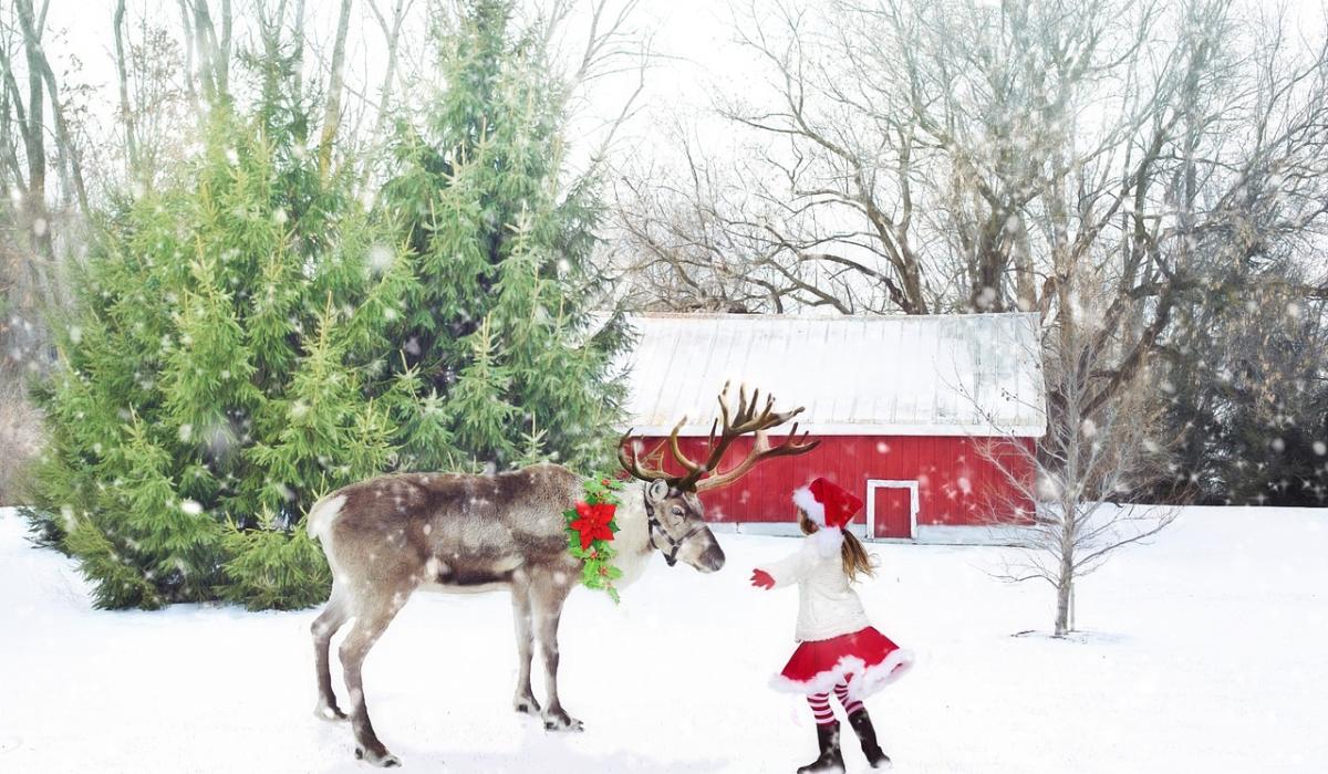 Christmas walk / run event to take place in Kilcullen, County Kildare ...