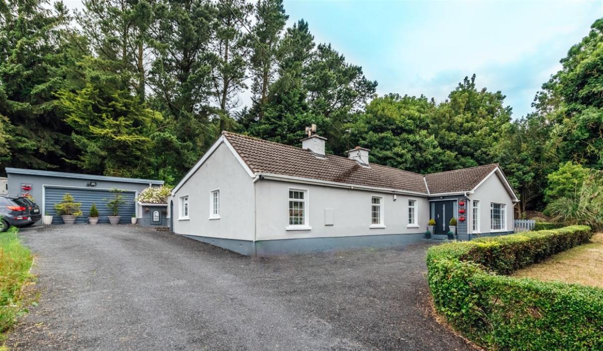 KILDARE PROPERTY WATCH A view from the Hill of Allen Kildare Now