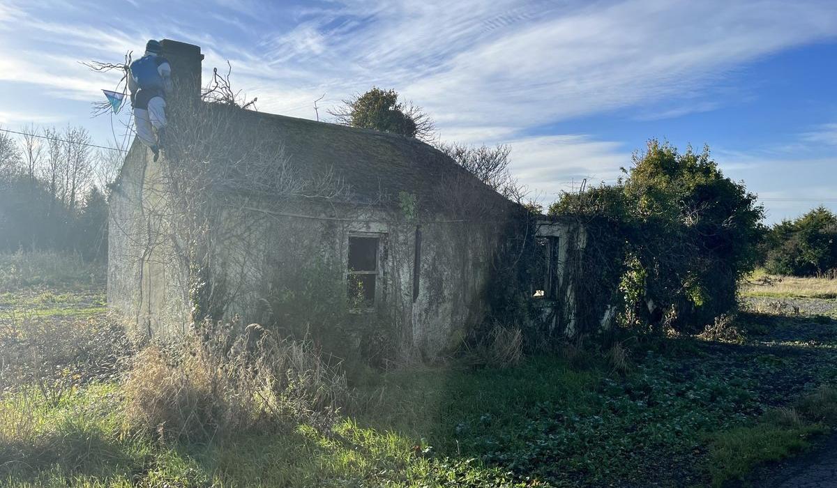 PHOTOS: Ramshackle Kildare house for €235k - but there's a very good ...