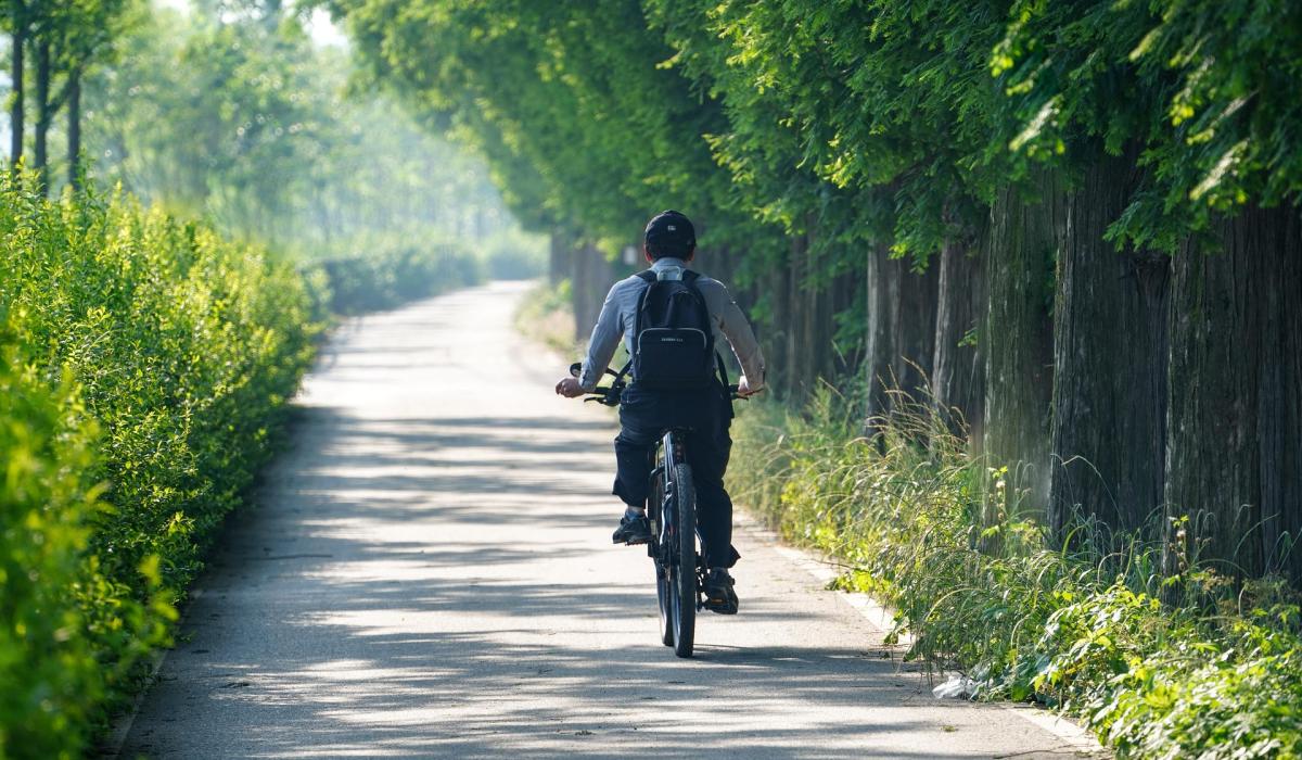 Minister confirms over €16 million funding secured for Active Travel and Greenway projects in Kildare 