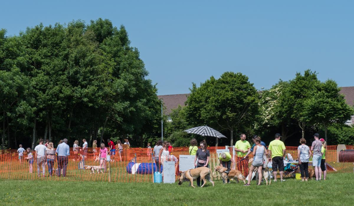 Kildare County Council told it should compel a landowner to sell a site for a dog park