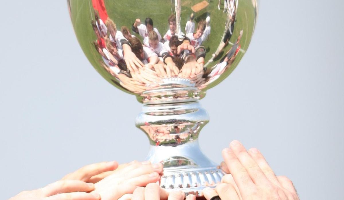 South Kildare's successful sporting year ‘should be recognised’