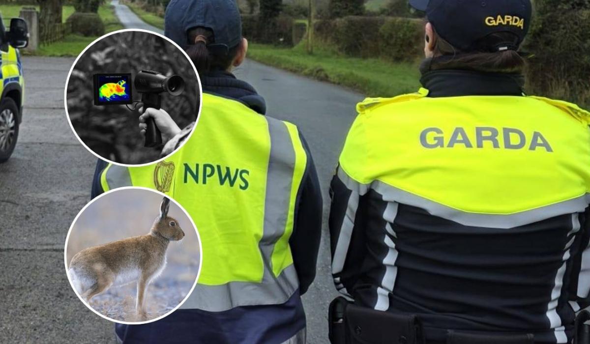 LONG READ: Inside the 'seasonal scourge' terrorising rural landowners across Kildare
