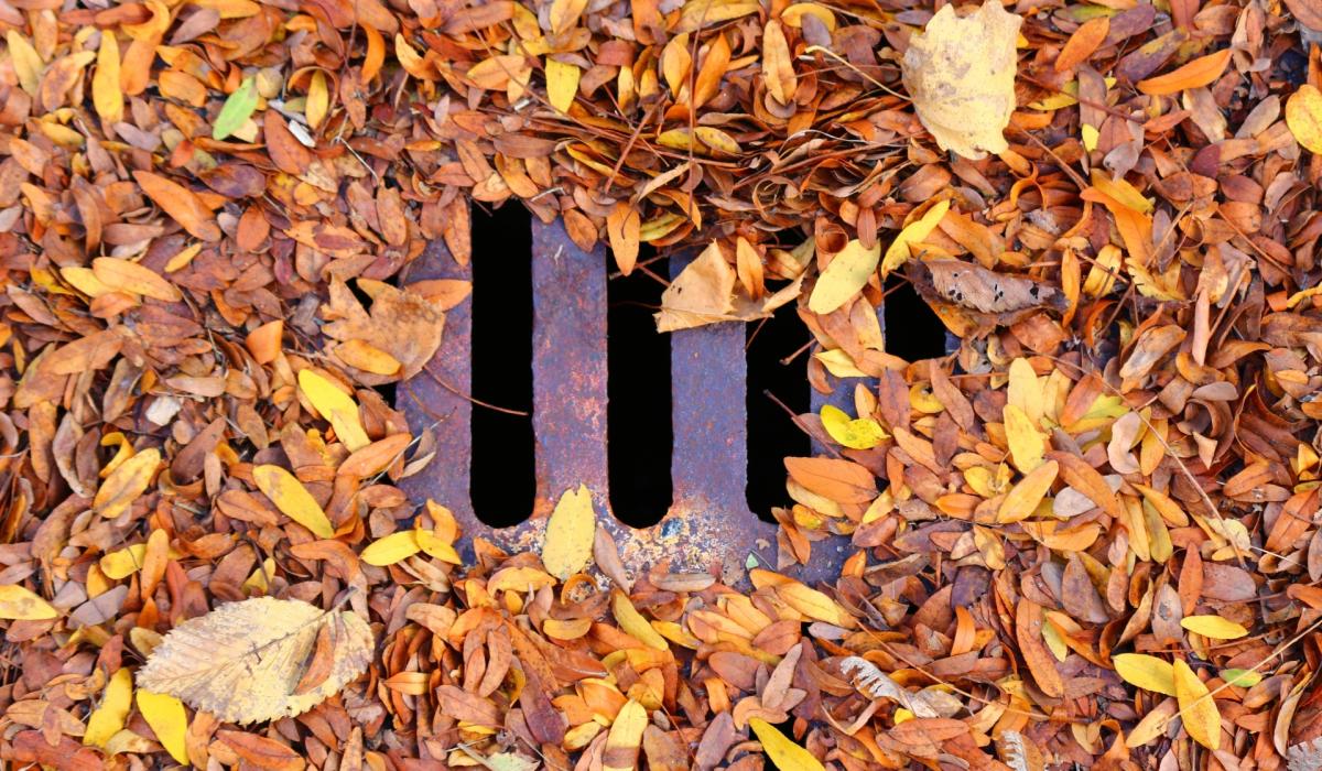 Claim that gullies in these Kildare regions 'haven't been cleaned in years'