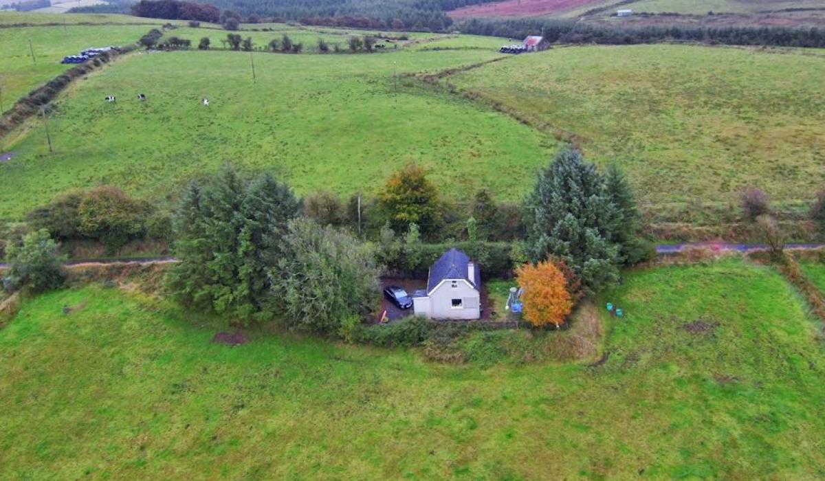 PHOTOS: Kildare house hunters! Charming house on one acre with €90k ...