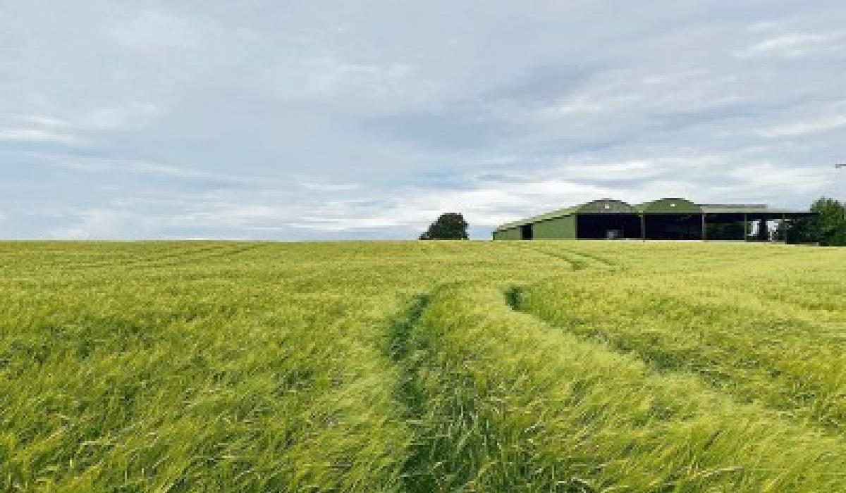 Property Watch 54 acres of land near Athy, Co Kildare, for sale