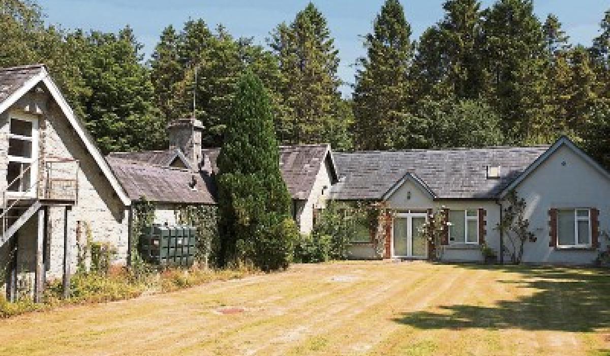 Kildare Property Watch Period cottage for sale in Castledermot