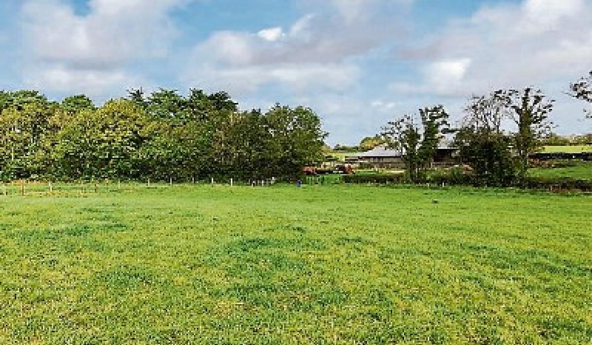 Kildare Property Watch Narraghmore land with asking price of €640,000
