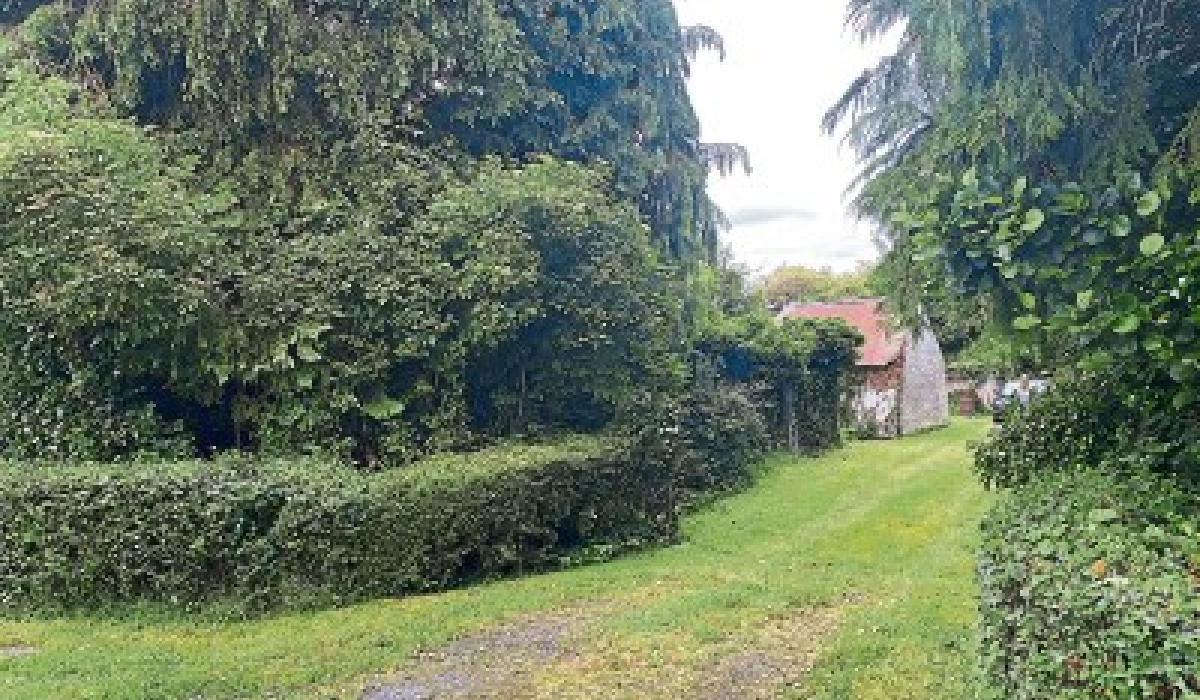 Derelict cottage on large site at Newtown Donore, Co Kildare, for €220,000 Kildare Now