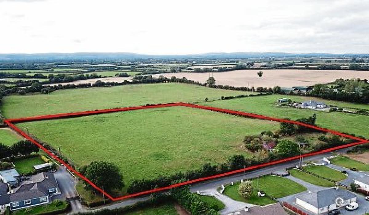 Property Watch Successful land auctions in south Kildare Kildare Now