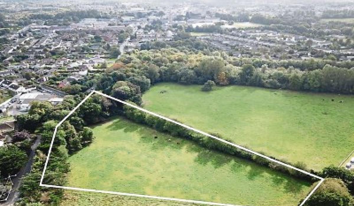 Kildare Property Watch Sallins Road, Naas, site for sale Kildare Now
