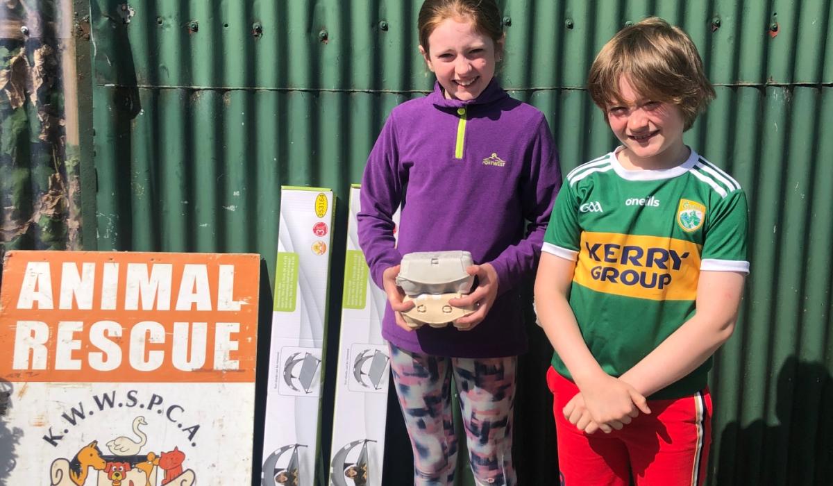 Kildare Animals In Need Generous kids donate their egg earnings to