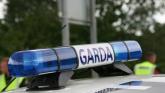 Garda drove at 144 km/h in pursuit of driver in Kildare
