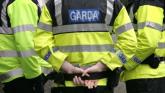 An Garda S&iacute;och&aacute;na Kildare issues Christmas crime prevention advice