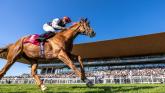 The Curragh Racecourse is hosting Day 2 of The Irish Champions Festival on Sunday, 14th September 2025.