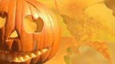 Hoping to find some scarily good deals? Halloween edition of pop culture fair coming soon to Kildare