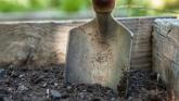 Care to lend a hand (with some green thumbs)? Volunteers sought for Kildare-based family resource centre's sensory garden