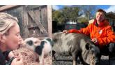 'They're just as affectionate as dogs' - Singer swaps stage for saving pigs in Kildare