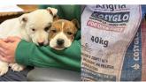 'This is inhumane': Huge anger after two puppies are left in coal bag on busy Leitrim road