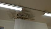 Mould and damp on the walls at the Curragh Community College