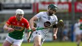 SECOND LOOK: The three games that secured Division 1B safety for the Kildare hurlers