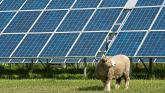 Ban solar farms from Kildare 'because the land is the best in the world'
