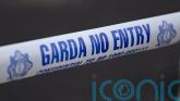 Woman and young boy die in Co Offaly house fire Woman and young boy die in Co Offaly house fire