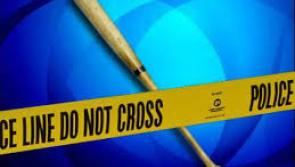 Kildare man was 'running for his life' when killed by baseball bat - court hears 