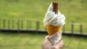 More people in queues for wine or ice-cream than can go to funeral during lockdown  - TD 

 
