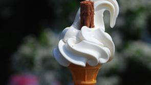 Ice-cream party taking place in Athy today to raise funds for Down Syndrome Ireland