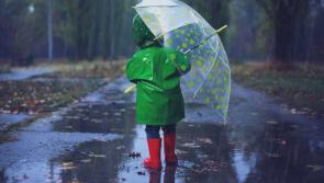 Sunny spells and scattered showers expected for Co Kildare this Bank Holiday Monday