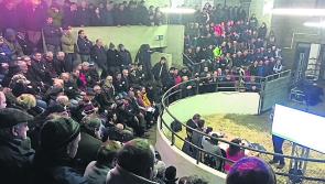 Agriculture marts to re-open under strict protocols