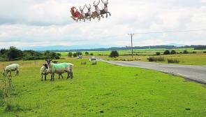 SNAPPED: Santa's sleigh spotted in Kildare skies!