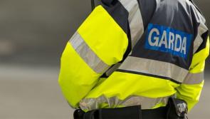 Gardai renew appeal for witnesses of collision which left woman seriously injured