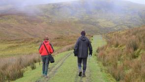 Hill farmers urge walkers to abide by countryside code during Covid-19