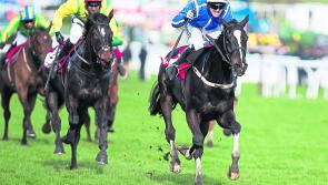 RACING: third time lucky as Punchestown is re-scheduled for Tuesday next, February 18