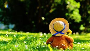 'Teddy Bear Picnic' event taking place in the People's Park in Athy next Sunday